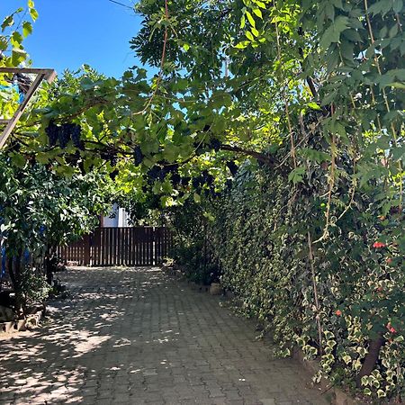 Downtown Guest House Kutaiszi Kültér fotó