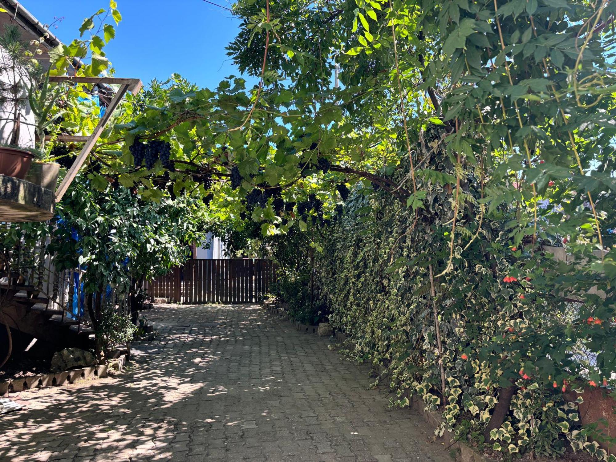 Downtown Guest House Kutaiszi Kültér fotó